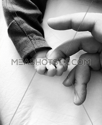 a baby holden parent finger