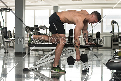 Man Working Out Back In A Gym - Dumbbell Concentration Curls