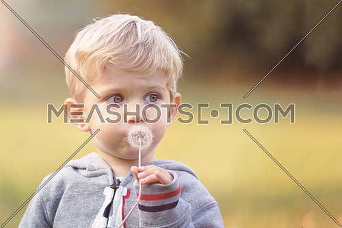 Portrait of baby boy blowing dandelion outdoor on park, blured background and used split toning.