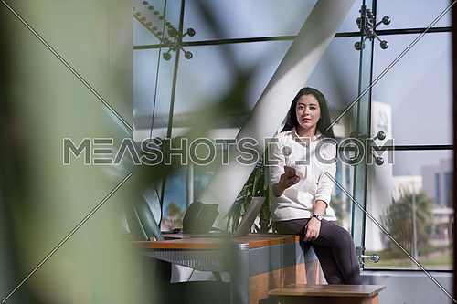 young business woman working in modern office