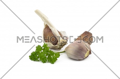 Garlic cloves and green parsley twig in close-up isolated on white background