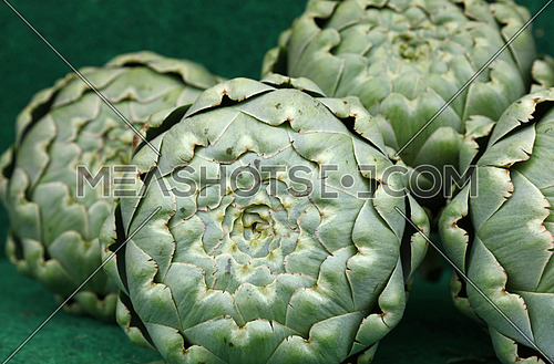 Green fresh globe artichokes on retail market display, low angle view