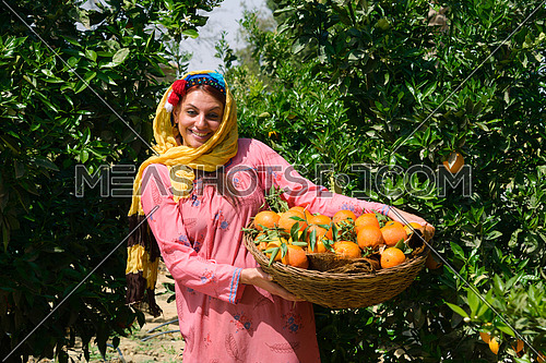 An egyptian female farmer carrying a basket full of tangerine