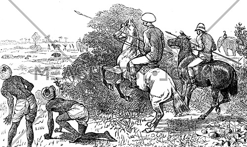 The boar proves short, vintage engraved illustration. Journal des Voyage, Travel Journal, (1880-81).