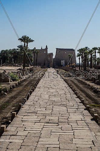 The Luxor temple with a passage way leads to it decorated by small Sphinx on each side in Luxor city