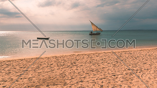 Traditional Fisherman's Dhow boat sailing in sunset.Zanzibar, Tanzania,used split toning.