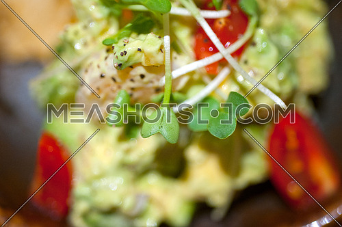 fresh avocado and shrimps salad with nachos on side