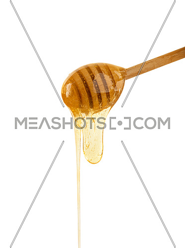 Close up fresh thick fluid acacia honey pouring and flowing from wooden dipper spoon isolated on white background with copy space, low angle side view