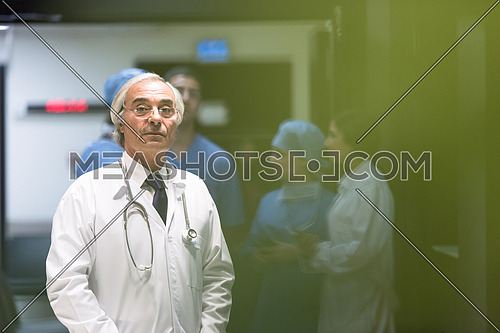 portrait of middle eastern team of doctors in a large modern clinic, one in front of the other