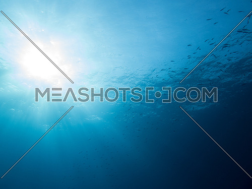 Underwater shot of the Water surface with sun rays 