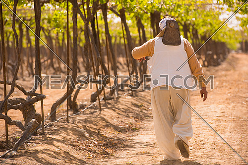 older middle eastern farmer walks on a large modern farm