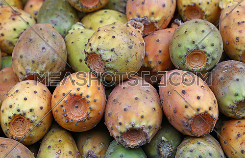 Fresh Opuntia ficus-indica (Indian fig, Prickly pear) cactus fruits sale on retail market stall display, close up