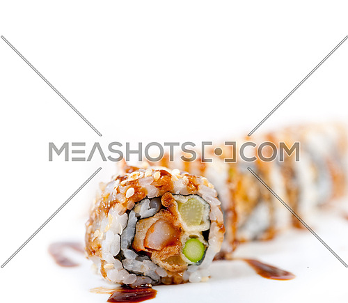 macro closeup of fresh sushi choice combination assortment selection 