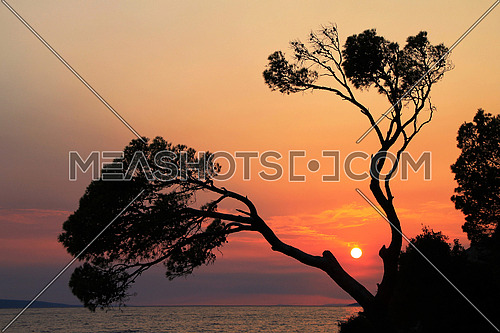 Rock island at sunset in small mediterranean town Brela , Croatia