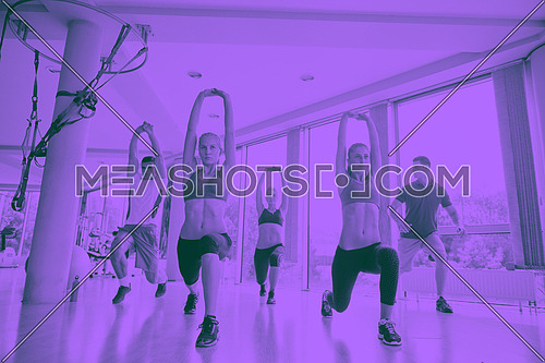 group of young people working out in a fitness gym duo tone