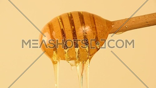 Close up fresh thick fluid acacia honey pouring and flowing from wooden dipper spoon over beige background with copy space, low angle side view
