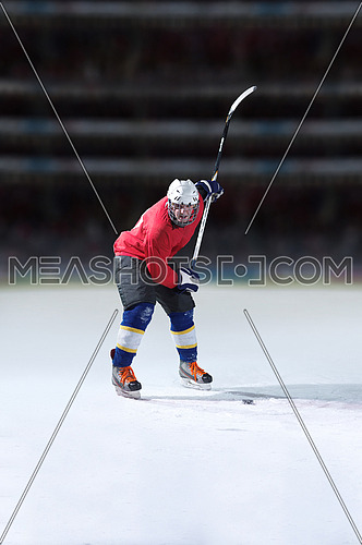 ice hockey player in action kicking with stick