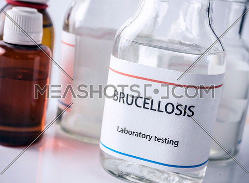 Test brucellosis in laboratory, conceptual image, composition horizontal