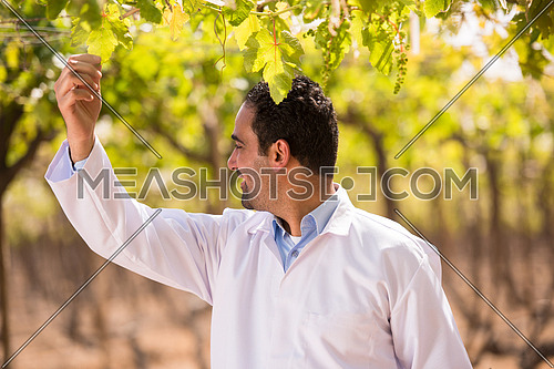 Portrait of a young middle eastern man on the farm of grapes with a smile on his face on a sunny summer day