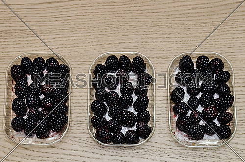 boxes of fresh picked blackberries aligned together