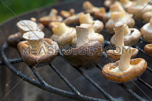 White champignon common mushrooms and black Chinese shiitake mushrooms cooked on char grill, close up, high angle view