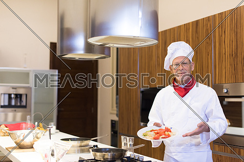 portrait of an elderly middle east cooks in the kitchen preparing salad