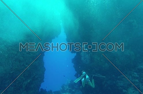 Long  shot for scuba divers and hard coral colony underwater at The Red Sea