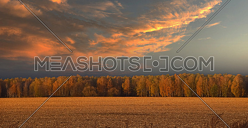 Sunset landscape of autumn stubble agricultural field, trees at horizon and dramatic stormy sky