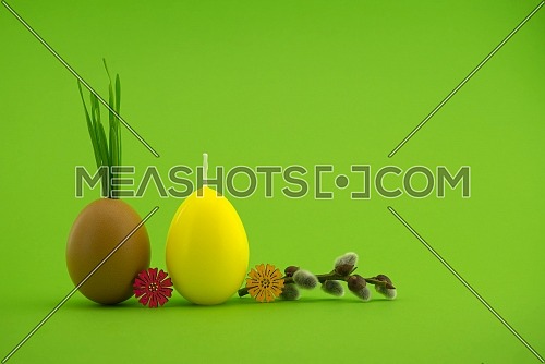 Creative Easter holiday or spring background with wheat seedlings growing from eggshells, yellow egg shaped candle and pussy willow branch over a green background with free copy space for text