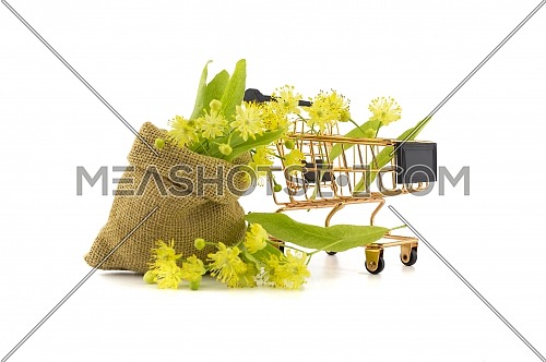 Wire shopping basket and small hessian bag of freshly picked yellow linden flowers and leaves, also called tilia and lime over a white background
