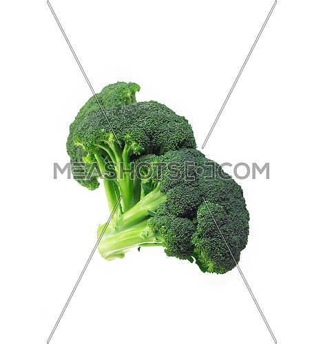 fresh green vivid  broccoli isolated on white