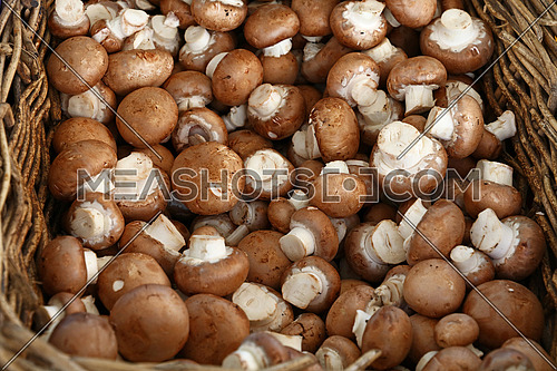 Close up immature brown champignon edible mushrooms (Agaricus bisporus) in wicker wooden basket at retail display, high angle view