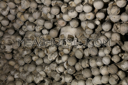 Close up of old human skulls and bones in ossuary, low angle view