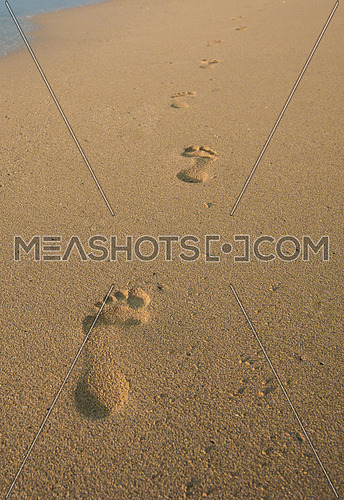 foot prints on the sand at the sea shore