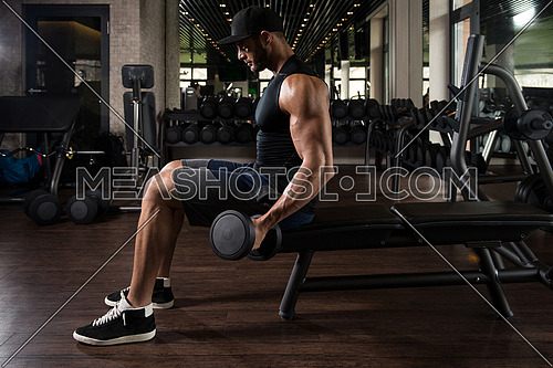 Young Athlete In The Gym Performing Biceps Curls With A Dumbbells