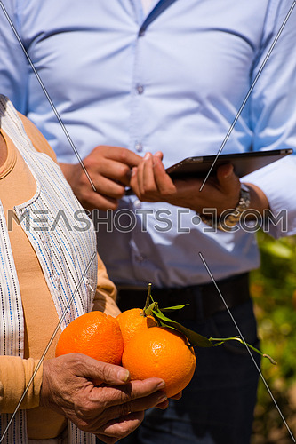 portrait of an elderly middle eastern farmer and young man on a farm of orange with orange in their hands