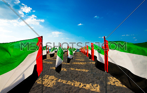 hundreds of uae flags on at the sea shore