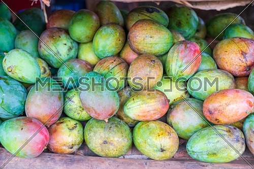 Red and green mango stack at grocery on tropical marketplace outdoor,Samana peninsula,Dominican republic.
