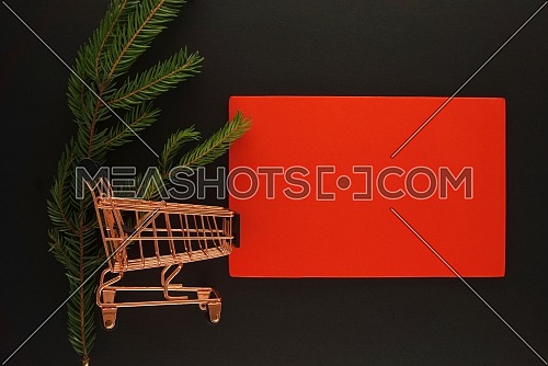 Fir branch and golden shopping cart on black background with red banner for text, flat lay top view template. Black Friday sale, shopping concept