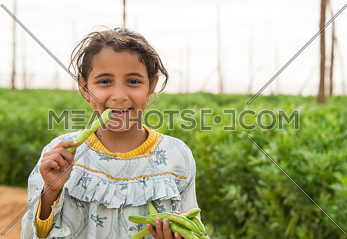A girl eating raw broad beans in a farm