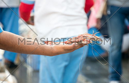 fish sales man holding a lobster in his hands