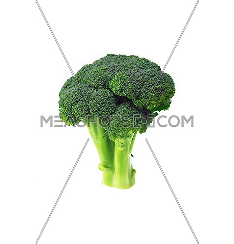 fresh green vivid  broccoli isolated on white