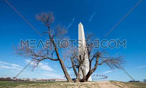 Washington monument during the day with clear sky