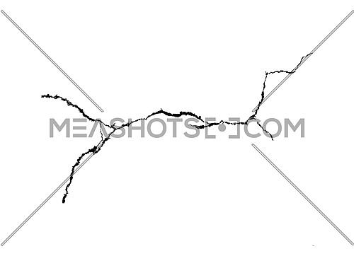 Vector black branch grunge crack isolated on white background