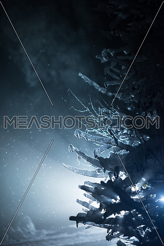 tree covered with fresh snow at winter night, back light with lens flare