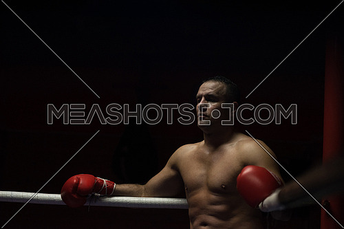 muscular professional kick boxer resting on the ropes in the corner of the ring while training for the next match