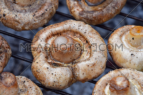 White champignons portobello mushrooms being cooked on char grill, close up