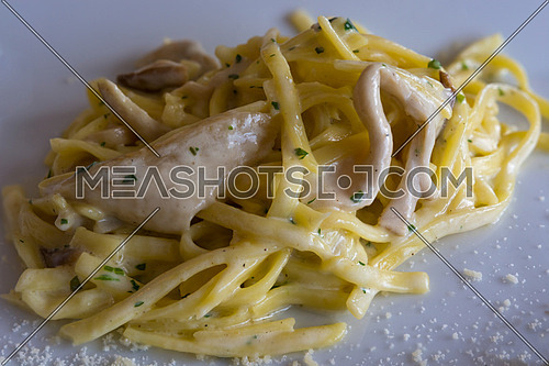 In the picture a plate of pasta (Tagliolini) with cream and mushrooms (Porcini).