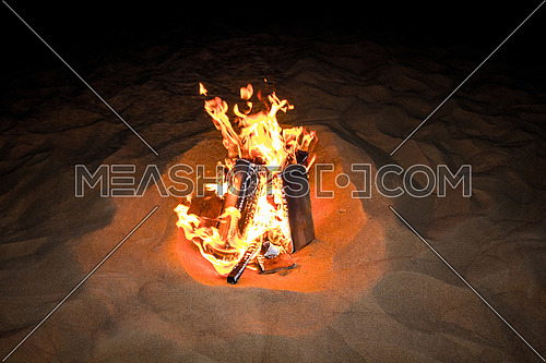 wood fire in the desert at night