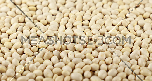 White frigole kidney beans close up pattern background, high angle view, personal perspective